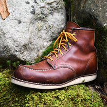 Load image into Gallery viewer, Bright Gold