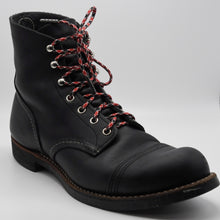 Load image into Gallery viewer, Kingsnake