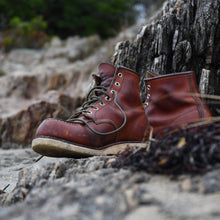 Load image into Gallery viewer, Olive